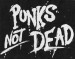 punk-s-not-dead-punk-rock-14926257-658-521